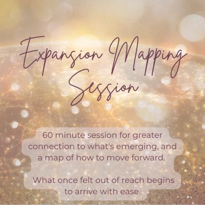 Expansion Mapping Session